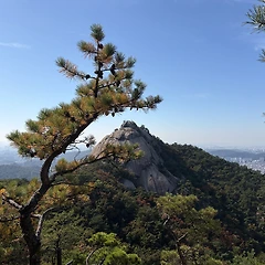 선집에 대하여 썸네일