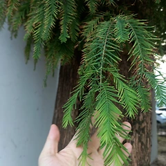 어두운 숲을 어서 나가자 썸네일