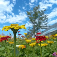 하고 싶은 말  썸네일