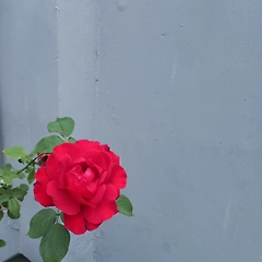 끝 썸네일
