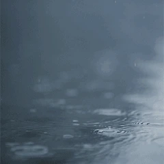 검은 눈썹 금발의 남자 썸네일