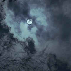 물을 기억하는 쇠  썸네일