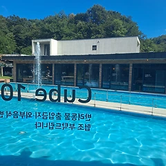 토피어리가 된 친구 썸네일