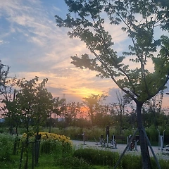 어디에 희망을 두어야 할까? 썸네일