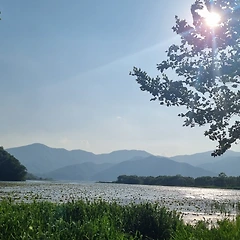 믿는 도끼에 발등 찍힌다. 썸네일