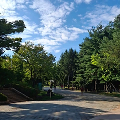 감정과 나 사이에 작은 거리를 두다 썸네일