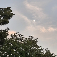 작아질수록 보이는 것 썸네일