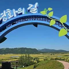 DMZ 백마고지 썸네일