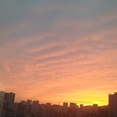 문신으로 막을 수 있나 썸네일
