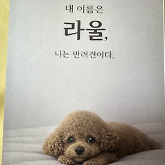 바카라을 내다 썸네일