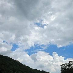 왜 따라다니는데? 썸네일