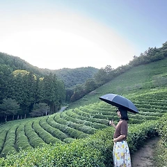 50대, 다시 해외로 가려는 여자! 괜찮아? 썸네일