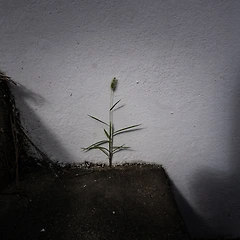 왕따, 은따지만 괜찮아~ 썸네일