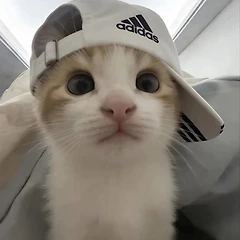 장소를 포기하고 걸어 나온 것은 나였다, 썸네일