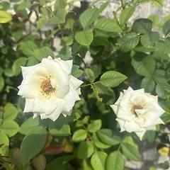 12. ㅈㅅㄱ 썸네일