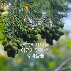 아침 산바카라길 57 썸네일