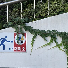 자아 포기 썸네일