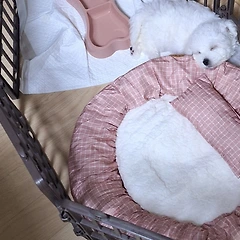 포근포근 <4> 썸네일