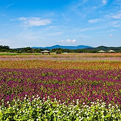 어울림 썸네일