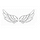 wings 프로필