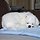 김현식 프로필