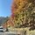 황미례 프로필