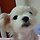 Daisy 프로필