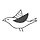 humming bird 프로필