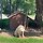 김란진 프로필