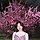 김예림 프로필