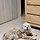 조예랑 프로필