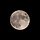 Full moon 프로필