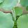 김희정 프로필
