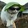 돼지고양인간다 프로필