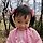 하유신조예원서원 프로필