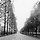 꾸문관 프로필