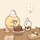 HaBb 프로필