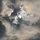 낭경봉 프로필