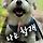 양성하 프로필
