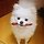 양현민 프로필