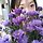 혜윤 프로필