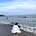 오세운 프로필