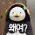 pyo 프로필