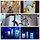이인경 프로필