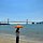 지혜 프로필