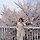 Lia Koh 고려화 프로필
