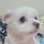 김민정 프로필
