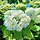 이세정 프로필