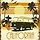 Steve Song 송윤석 프로필