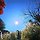 suyoun 프로필